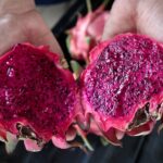 Pitahaya dominicana gana terreno en Europa y espera acceso a mercado de EE.UU