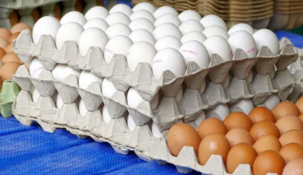 Durante 2024, las exportaciones mensuales alcanzaron un promedio de 67 millones de unidades de huevos.