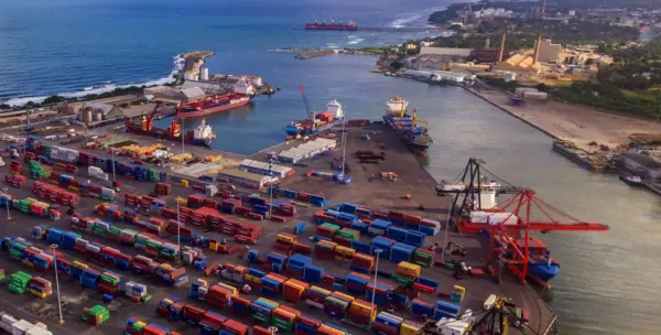 La caída de las compras de Cuba redujo las exportaciones y llevó el precio en granja hasta RD$4 por unidad.