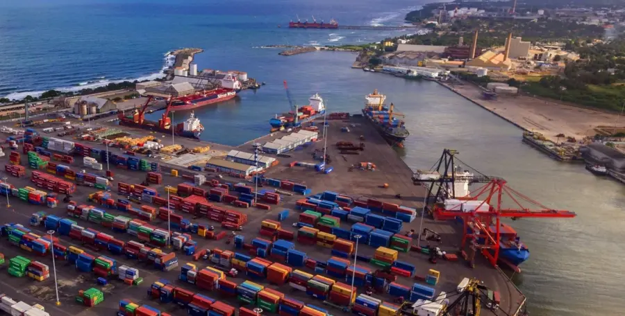 La caída de las compras de Cuba redujo las exportaciones y llevó el precio en granja hasta RD$4 por unidad.