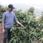 Caficultores atribuyen al café rol fundamental en equilibrio bosques
