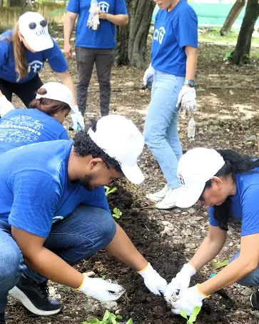 Colaboradores  durante la  jornada.