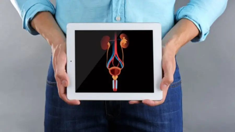 Una vasectomía no incrementa el riesgo de cáncer de próstata o de enfermedad testicular.