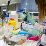 OMS: Más del 90 % de la población mundial se verá afectada de alguna forma por el cáncer