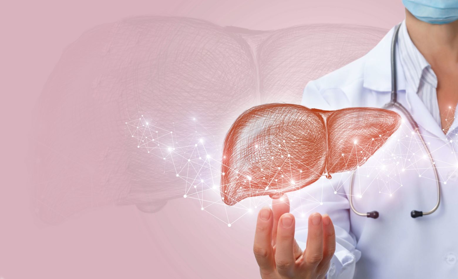 La elastografía hepática revoluciona el diagnóstico temprano de enfermedades del hígado