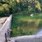 Sequía afectará suministro de agua en varios sectores de la capital, informa la CAASD