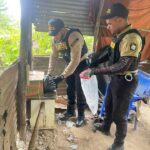 Incautan más de 4,700 de diferente narcoticos en Pedro Brand y Santo Domingo Norte