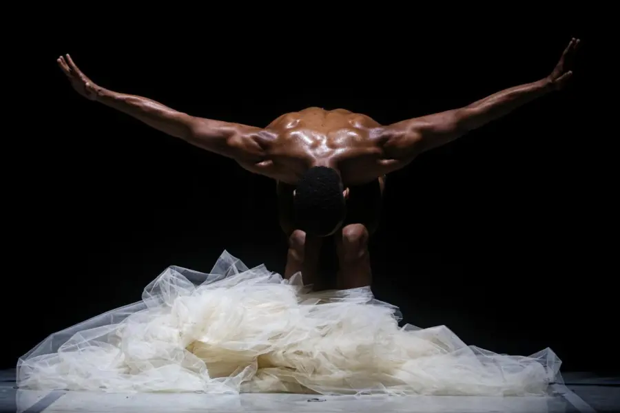 Festival de danza