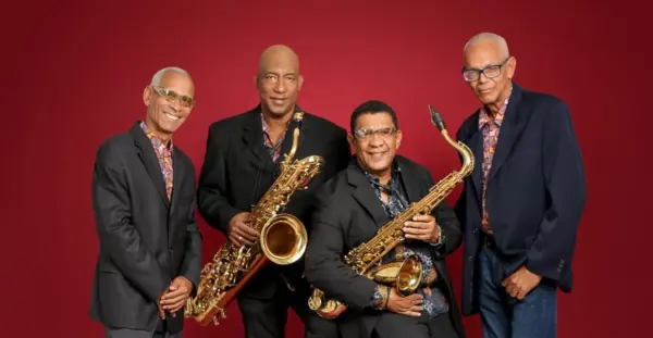 El grupo David