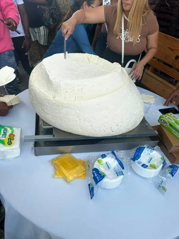 El queso de este año alcanzó las 227 libras.