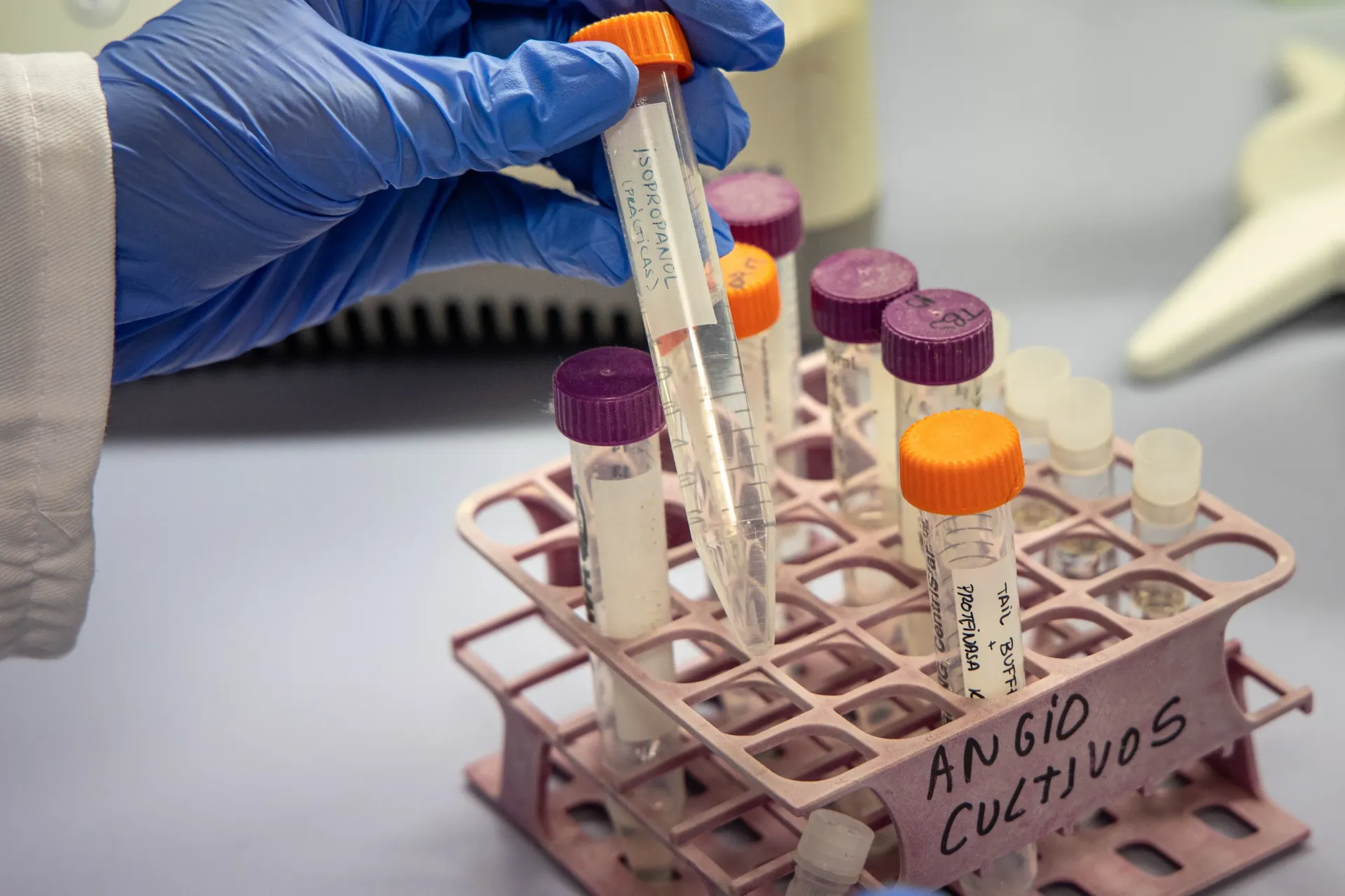 Investigadores del CIBIR desarrollan terapia génica pionera para prevenir el alzhéimer modificando la proteína APOE4