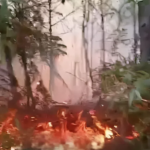 Incendios forestales golpean áreas protegidas de RD con 338 casos en 15 años