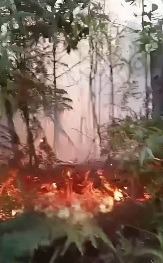 Incendio forestal en Valle de Dios.jpg