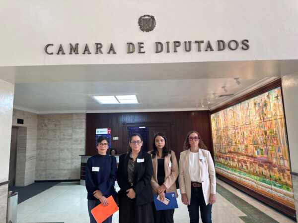 Juristas y académicos exigen incluir las tres causales en el nuevo Código Penal jpg