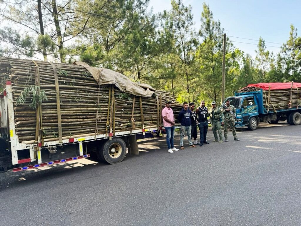 Ejército detiene a 108 haitianos indocumentados e incauta cargamento ilegal de madera en operativos