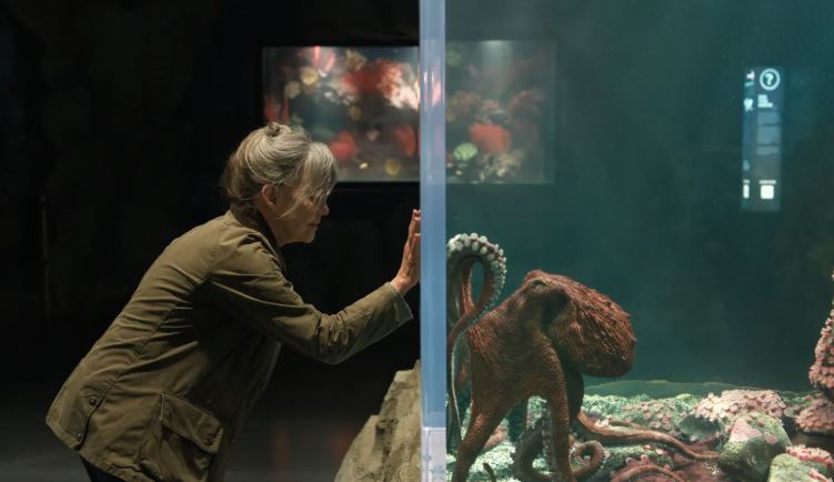 Las películas que han marcado 2026: estas son las mejores producciones en lo que va de año