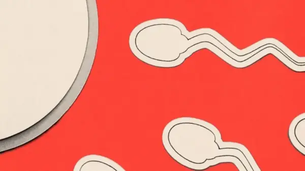 Semen-