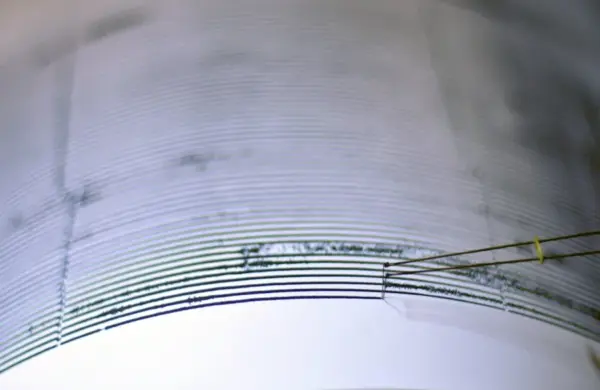 Fotografía de archivo de ondas registradas en un sismógrafo. EFE