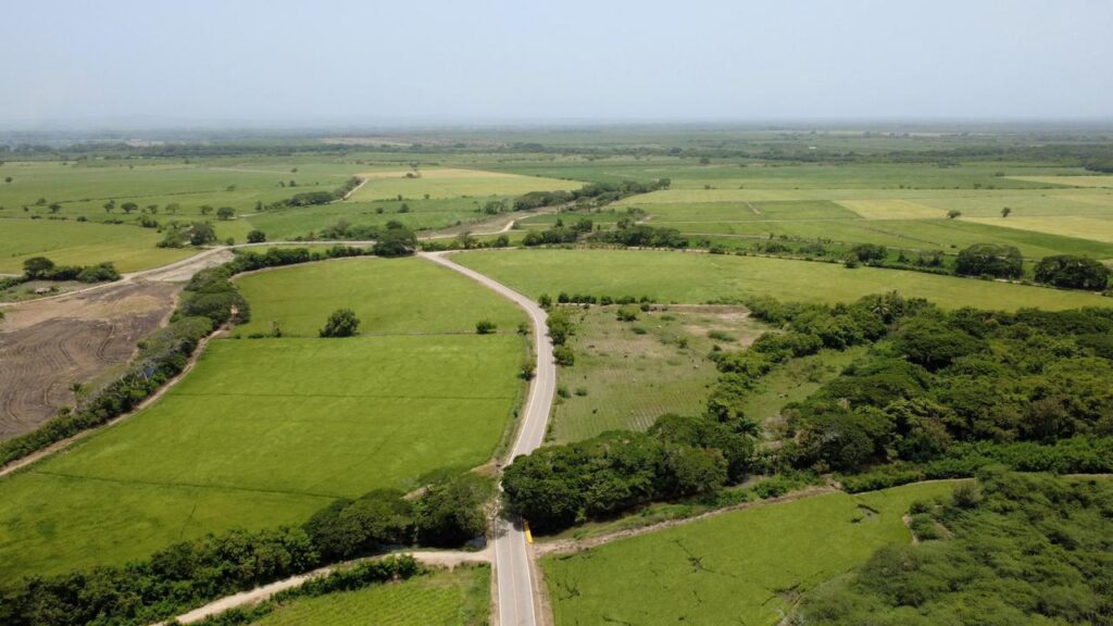 Presidente inaugura nueva carretera Palo Verde en Montecristi