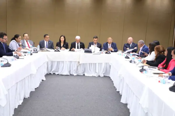 Comisión Bicameral