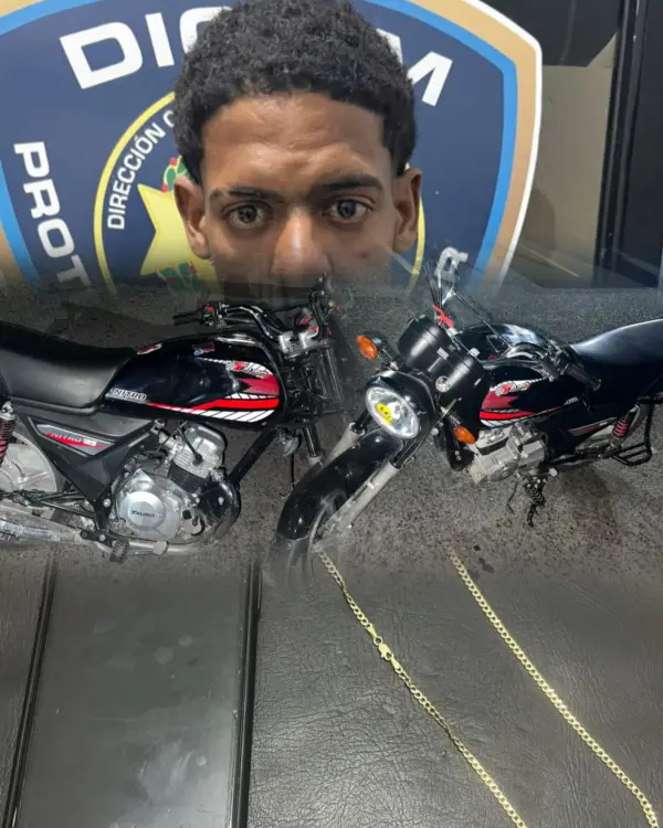 Detenido