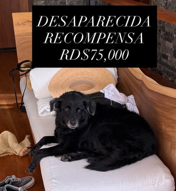 "Hoy ya no sé qué sentir": el dolor que invade a Tokischa por la pérdida de su mascota Espiral