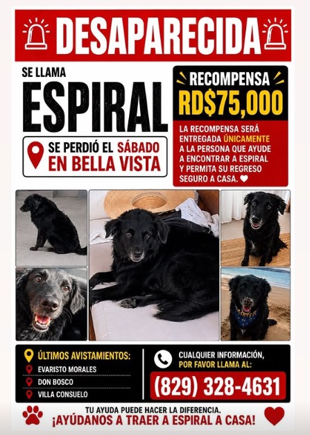 "Hoy ya no sé qué sentir": el dolor que invade a Tokischa por la pérdida de su mascota Espiral