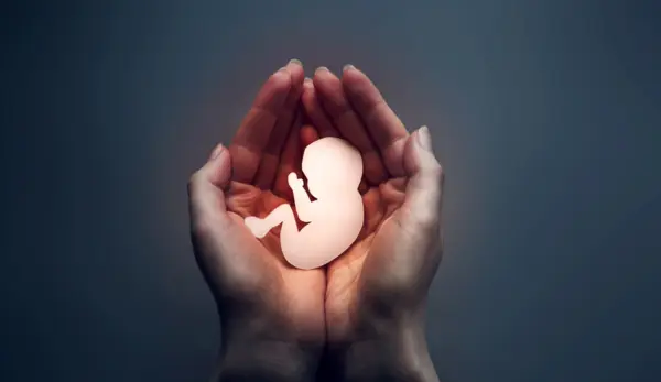 aborto