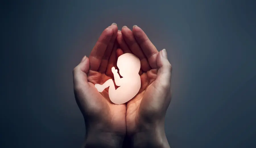 aborto