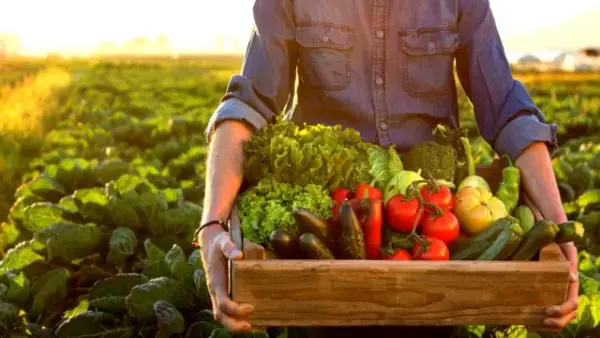 alimentos-latinoamerica