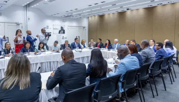 comisión bicameral