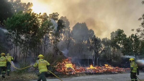Francia moviliza 200 bomberos para combatir incendio forestal en el sur. EFE