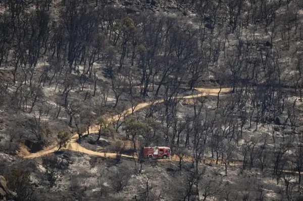Un camión de bomberos circula por una zona arrasada por las llamas en la localidad de Calonge este sábado tras el incendio forestal que comenzó ayer en La Bisbal de l'Empordà (Girona). EFE