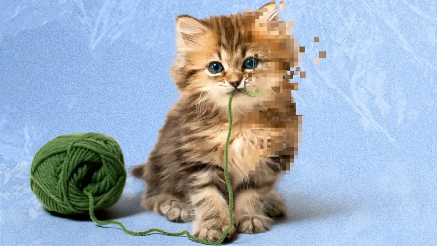 La IA ha arruinado los vídeos de animales adorables.