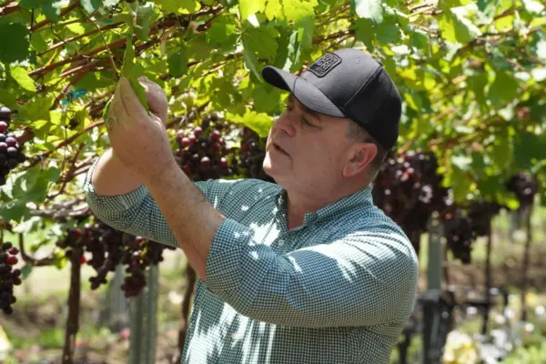 productor agrícola