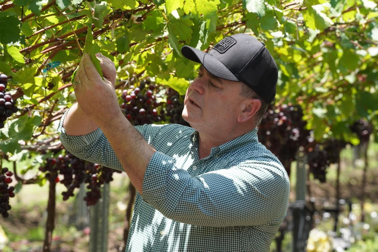 Producción agropecuaria dominicana en niveles históricos