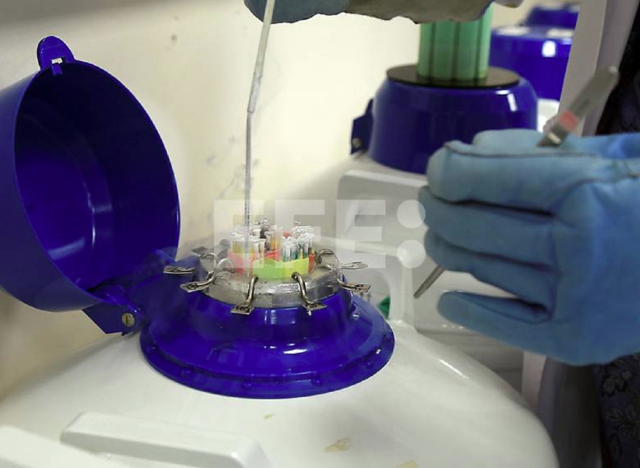 Estudio revela que la contaminación afecta más la calidad del semen que los hábitos de vida en España