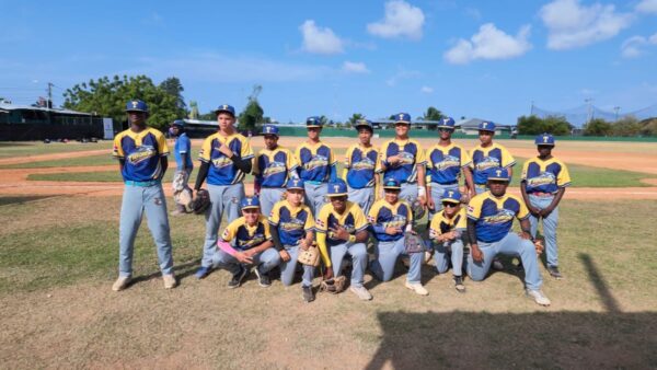 tiburones