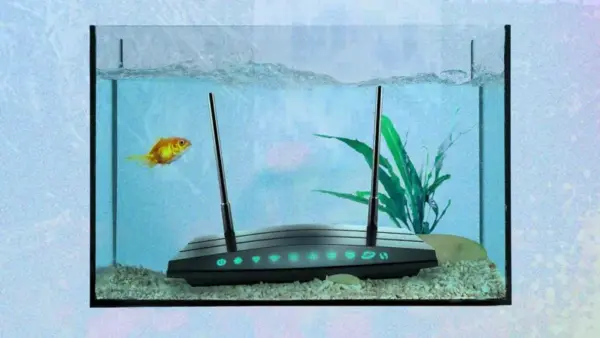 wi-fi