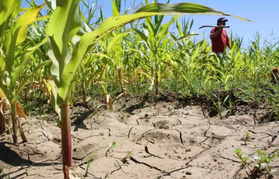 El Niño  podría provocar una disminución gradual de las lluvias y aumentar el riesgo de sequía.