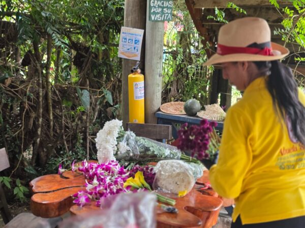 silletas colombianas