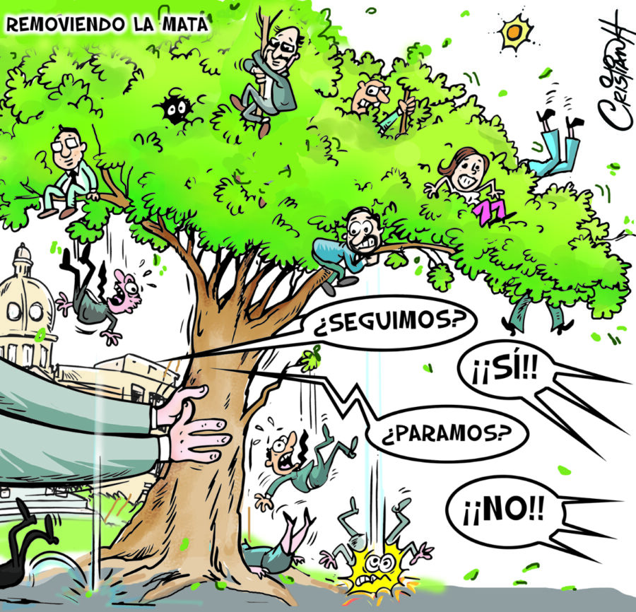 El carrusel de la vida