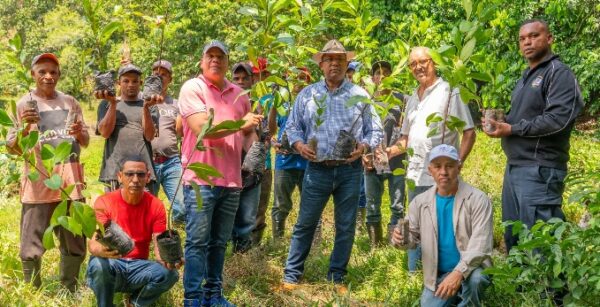 Durante la jornada de reforestación.