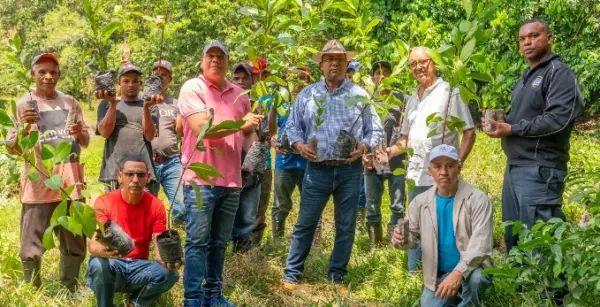 Durante la jornada de reforestación.