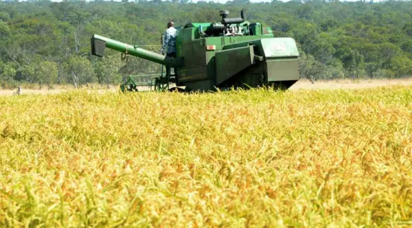 Estados Unidos  pudiera imponer medidas comerciales perjudiciales para República Dominicana.