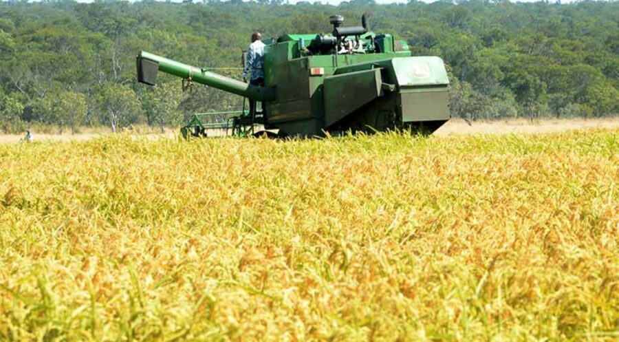 Estados Unidos  pudiera imponer medidas comerciales perjudiciales para República Dominicana.