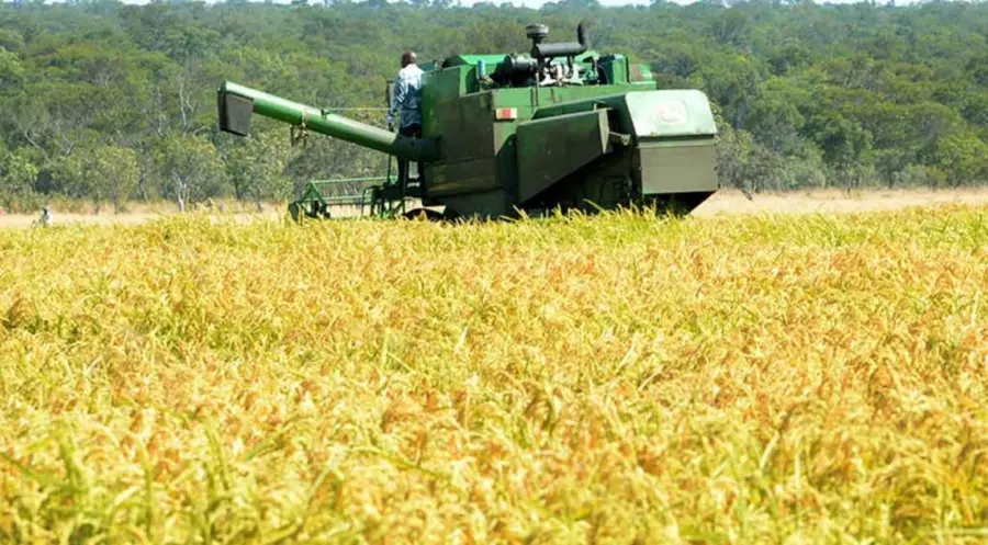 Estados Unidos  pudiera imponer medidas comerciales perjudiciales para República Dominicana.