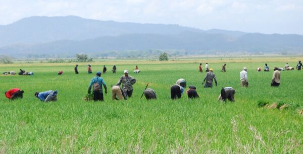 La disputa por el arroz y los compromisos del DR-Cafta marcan la agenda bilateral.