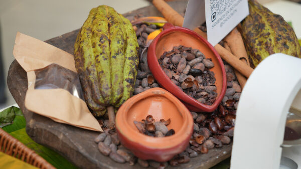 Festival del Chocolate Dominicano reunirá a más de 18 marcas en Santo Domingo