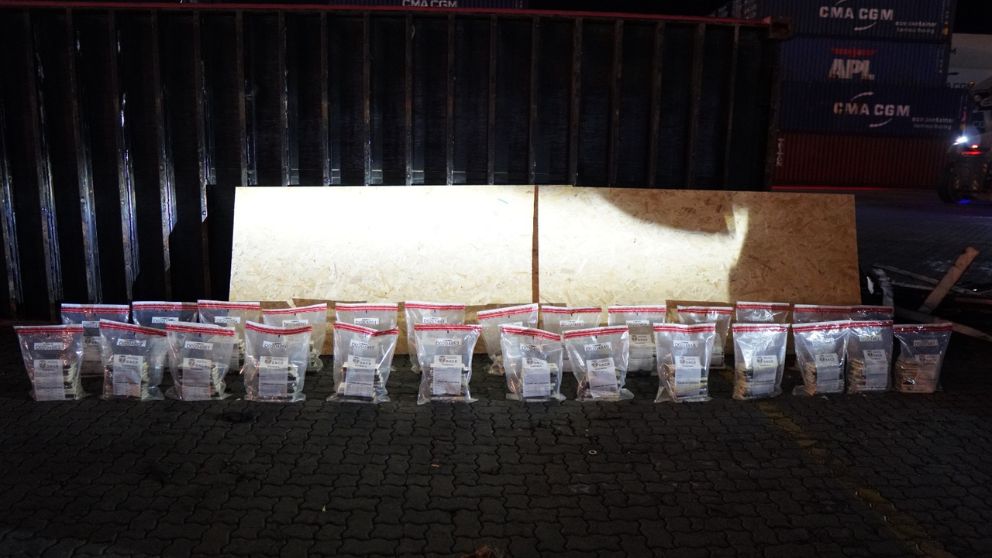 DNCD incauta 303 paquetes de cocaína ocultos en contenedor en el Puerto Caucedo
